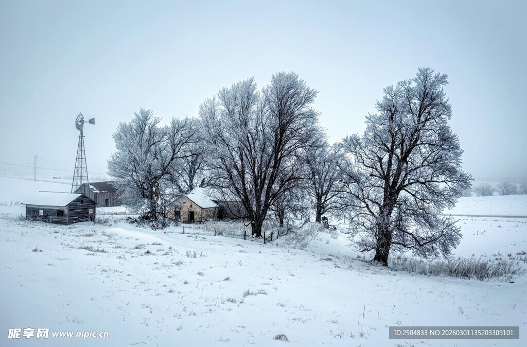 冬日雪景中的树木与小屋