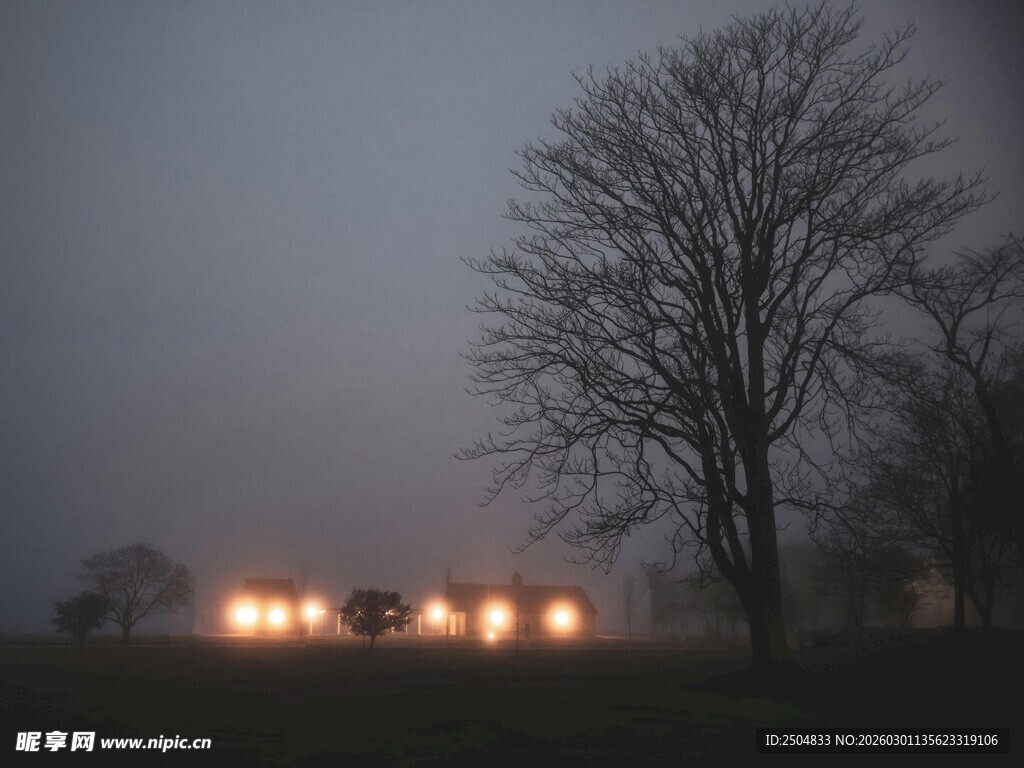 夜幕下田野中的灯火树影