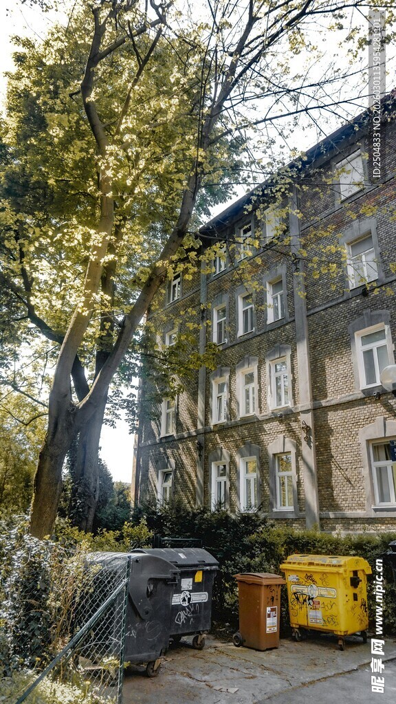 老旧建筑旁的树木与垃圾桶