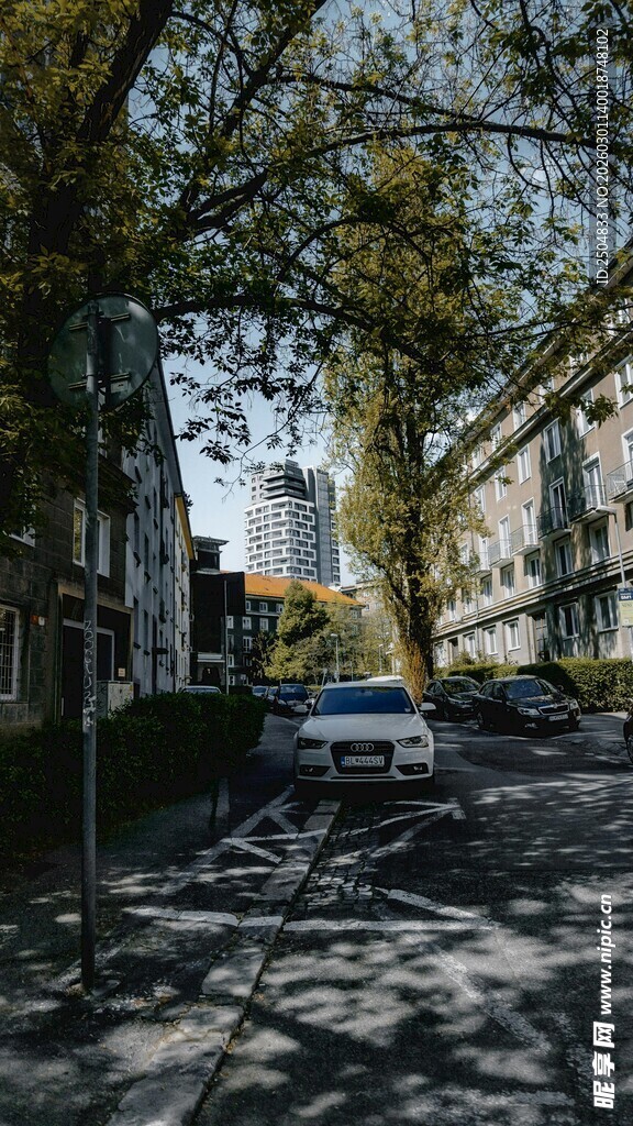 阳光洒落的静谧街道