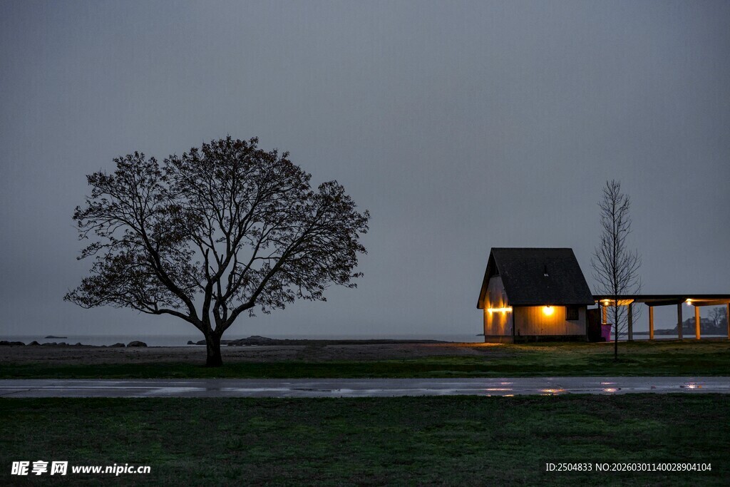 夜幕下的孤树与亮灯小屋