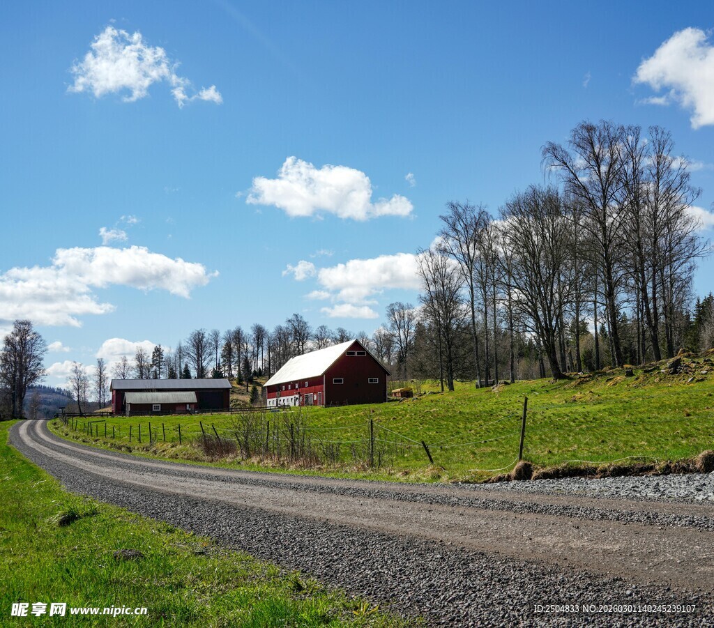 乡村公路旁的宁静农场景象