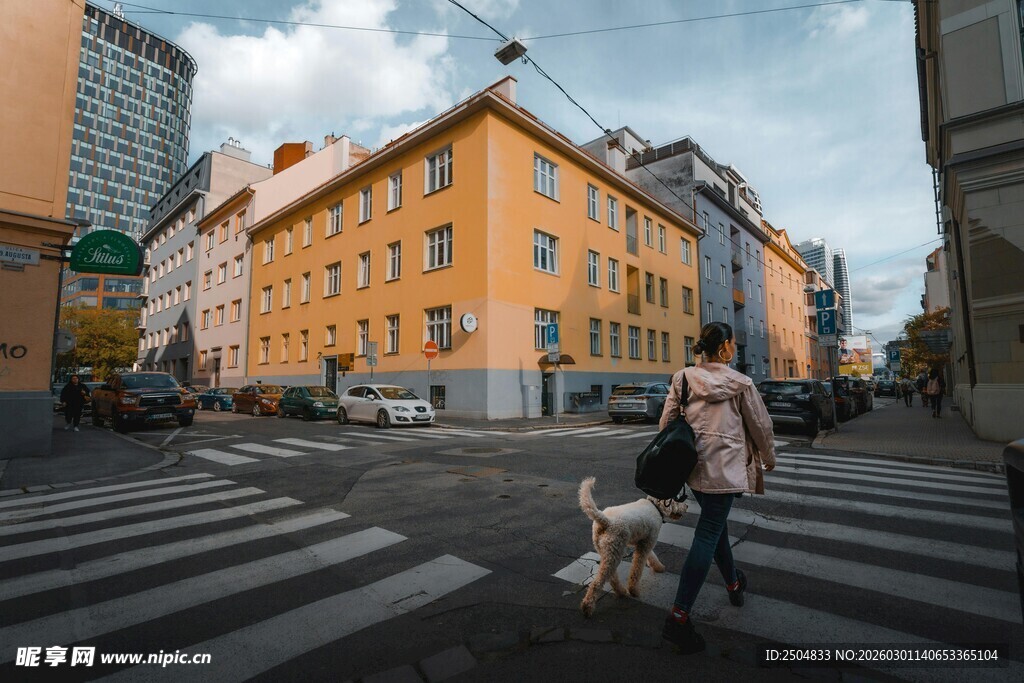 城市街头女子牵狗漫步