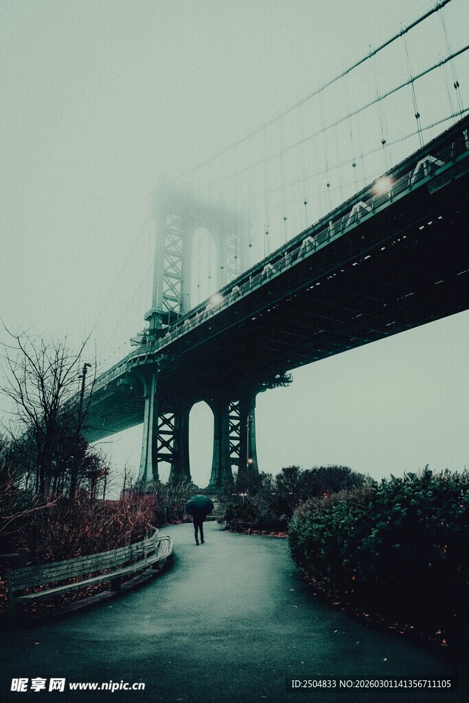 雾中大桥下的静谧小道