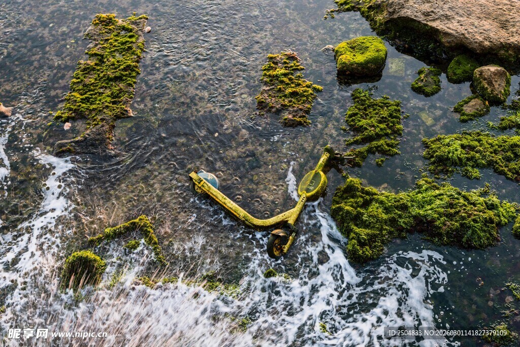 溪流中漂浮的绿植与枯枝