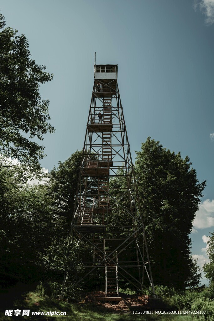 森林中的高耸瞭望塔
