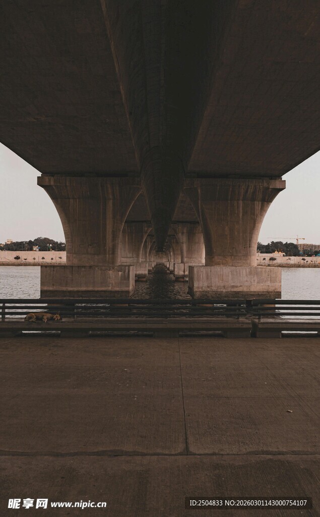 桥下视角的空旷场景