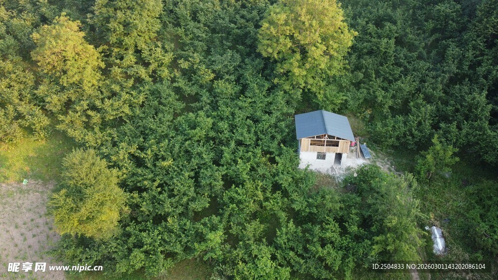 林间小屋俯瞰景色