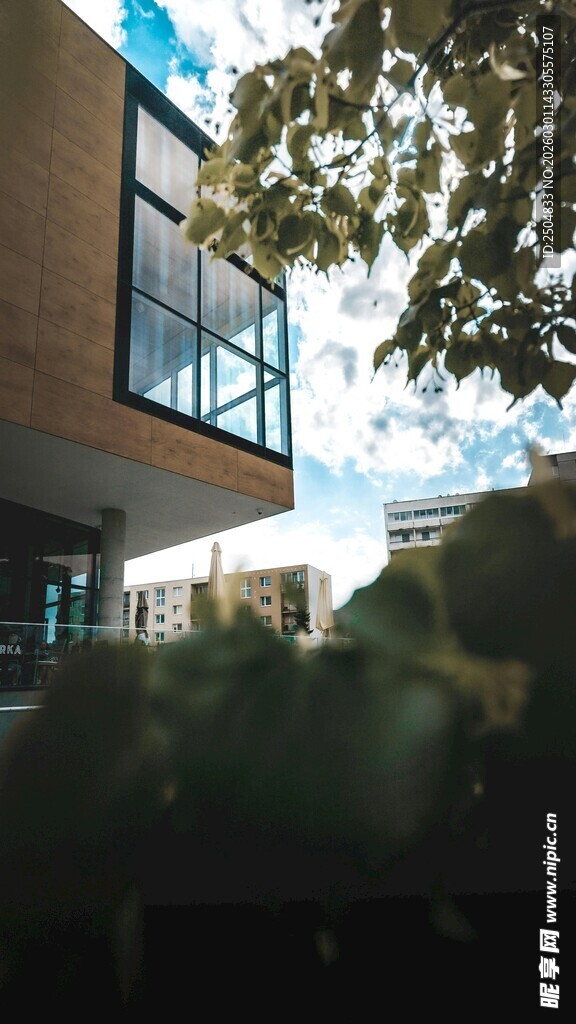 现代建筑外观与绿植景观