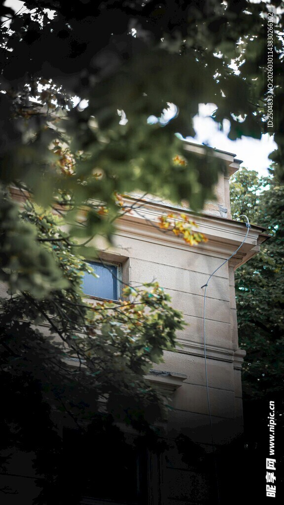 透过枝叶看古朴建筑一角