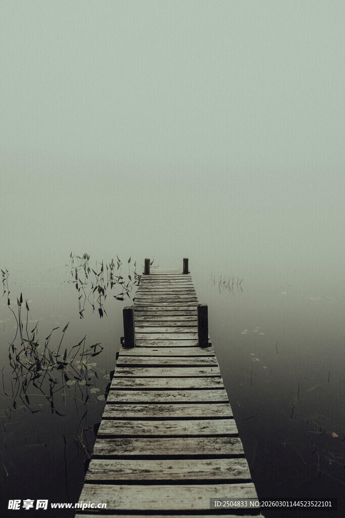 雾中木栈道伸向远方