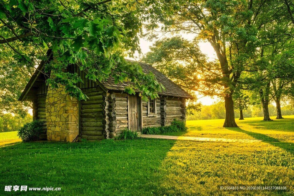 林间木屋沐浴在晨光中