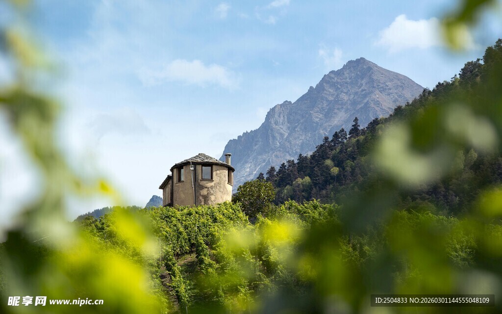 山间小屋隐于葱郁山林
