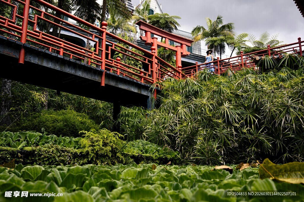 红桥横跨绿植间景观