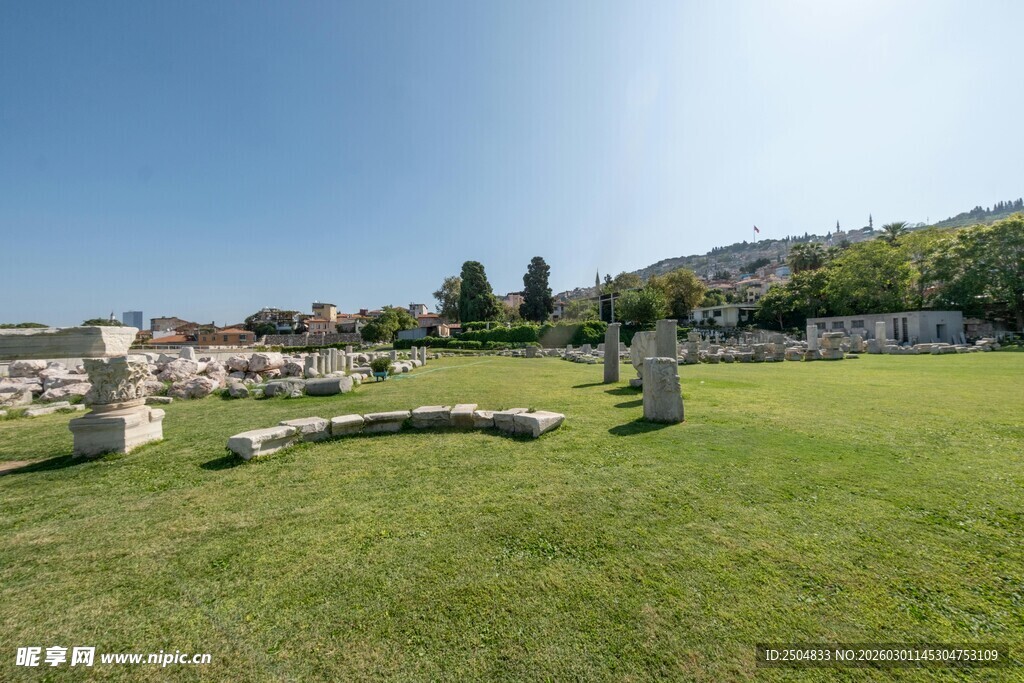 户外开阔草地景观