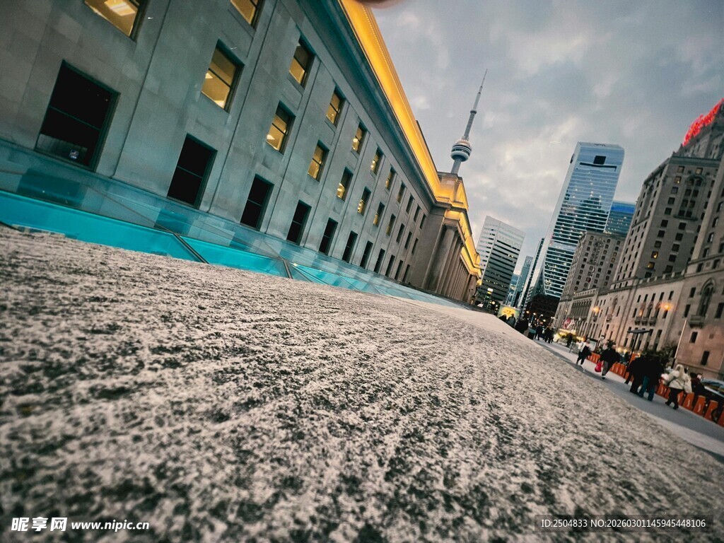 城市街道铺满白色絮状物