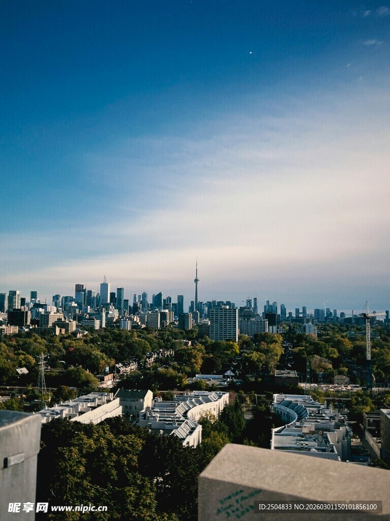 城市天际线与绿树景观