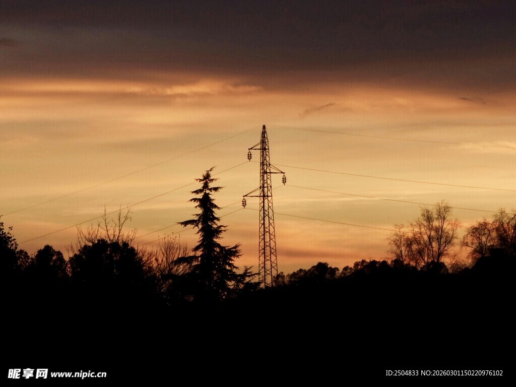 夕阳下的电线塔与树木