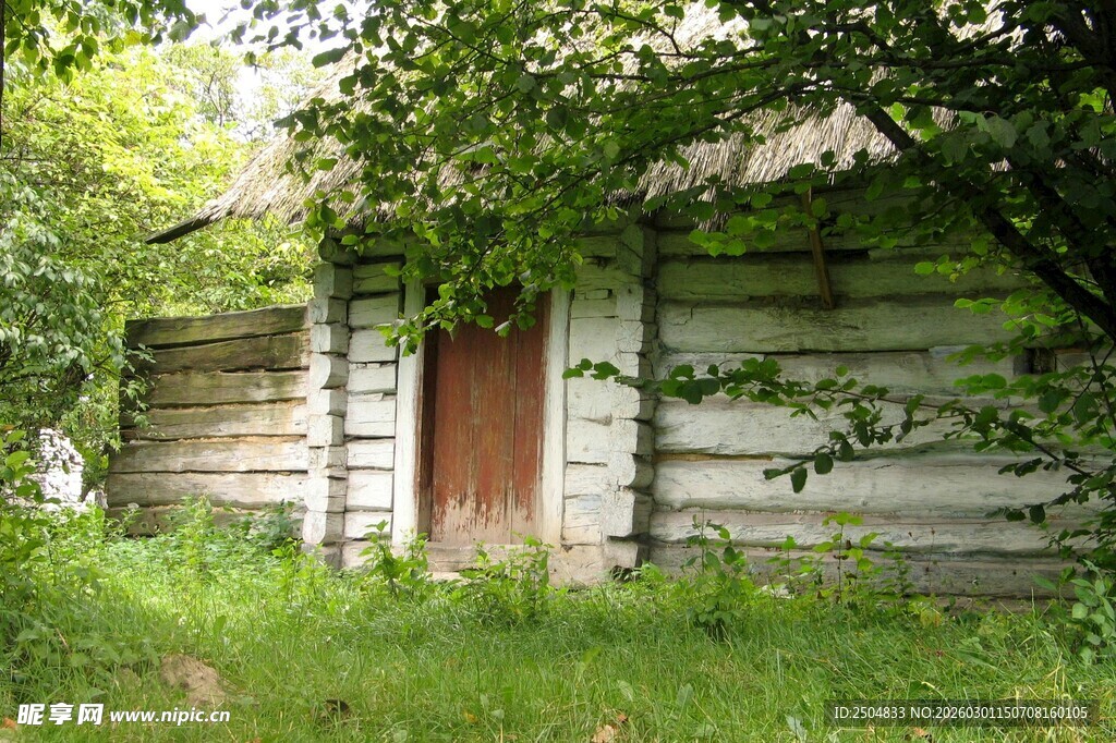 荒废木屋隐于绿意之中