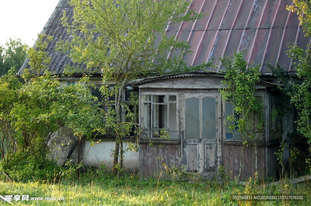 荒废老房被绿植环绕
