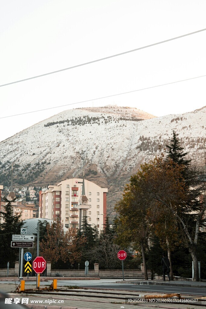 雪山下的城市街道景象