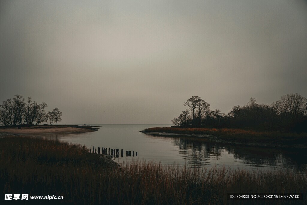 雾霭中的静谧湖岸风光