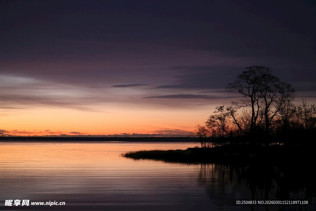 黄昏湖畔孤树静谧景象