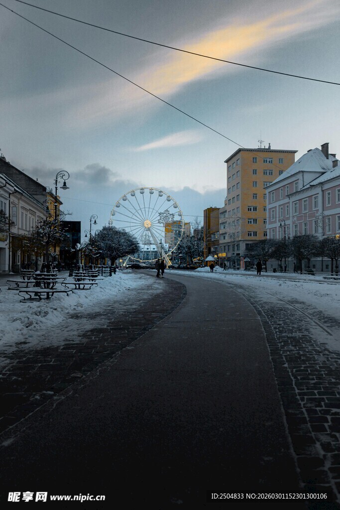 冬日雪后静谧街道景象