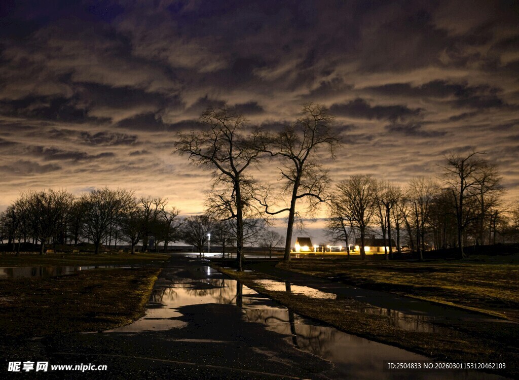 黄昏湿地 孤树映于水畔