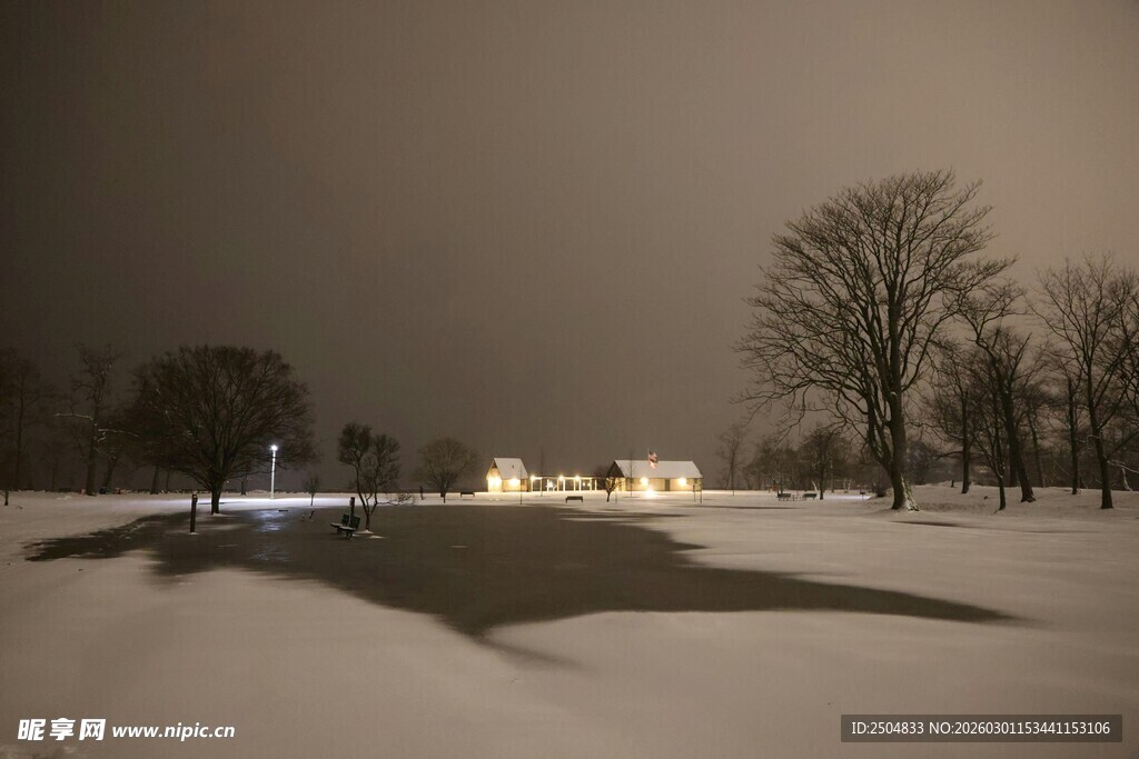 雪夜中的静谧公园景色