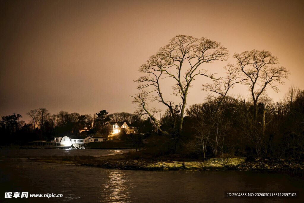 夜幕下的河畔树林景象
