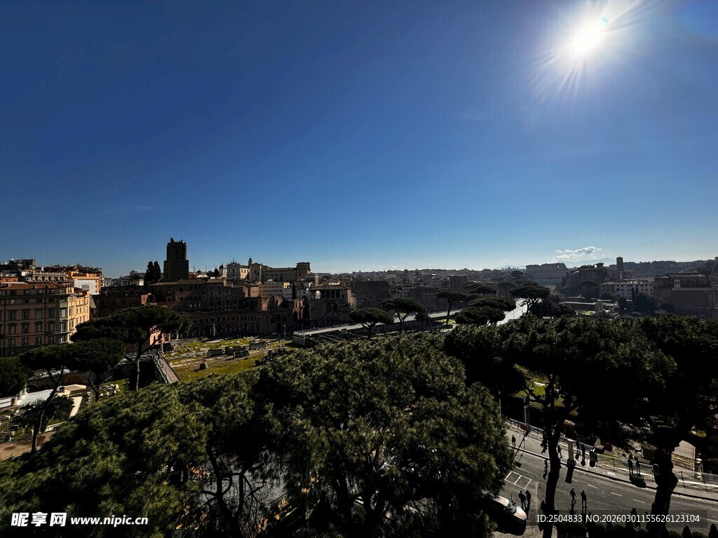城市风光与绿植全景