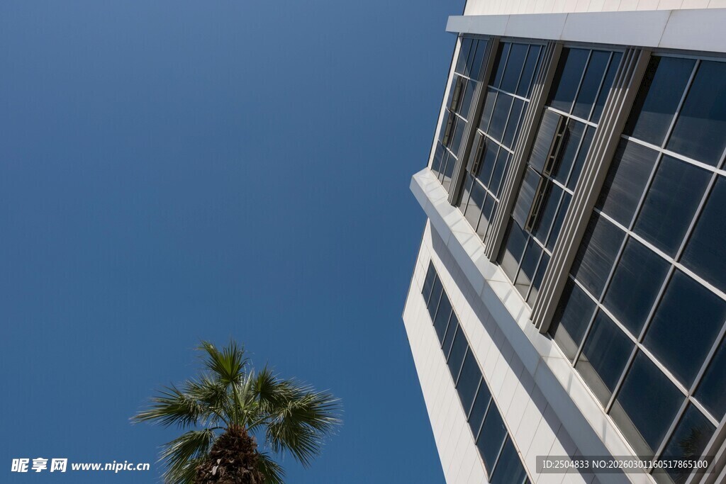 现代建筑旁的棕榈树