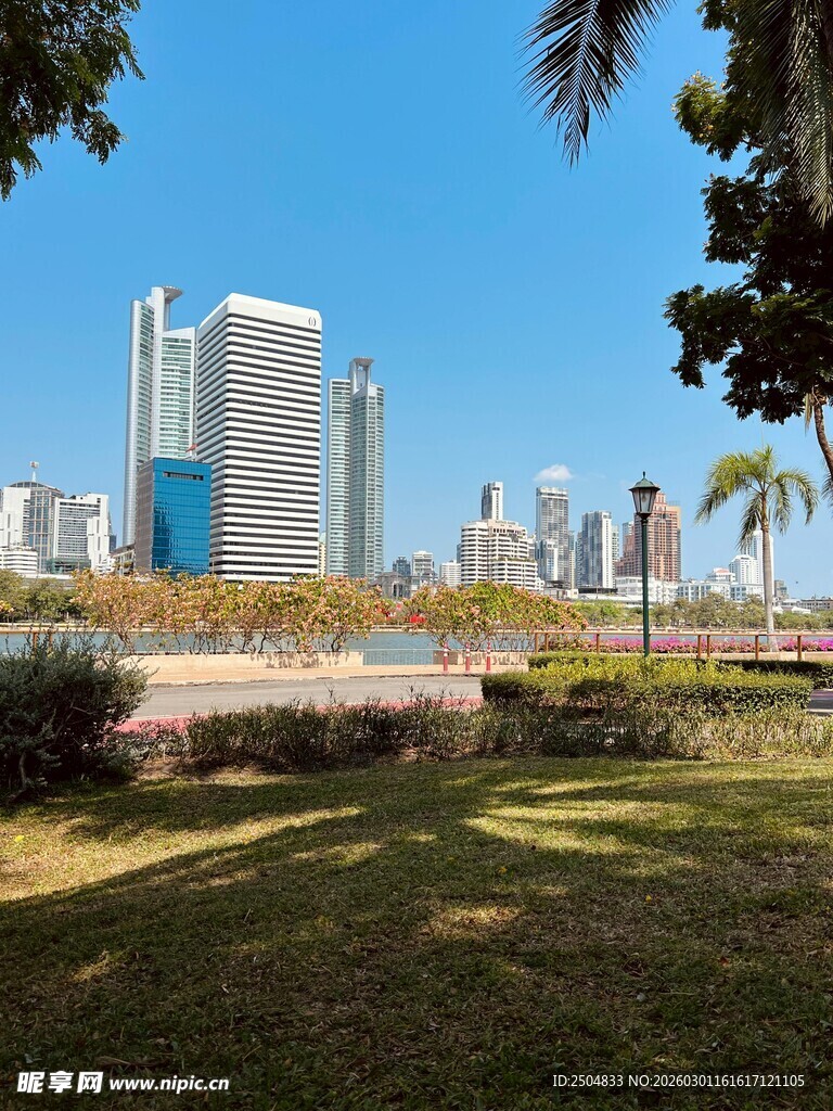 城市绿地与远处高楼景观