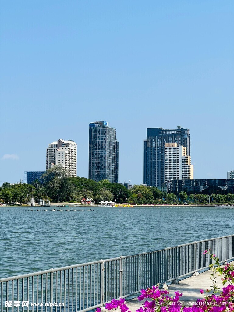 河畔城市风光 繁花相伴