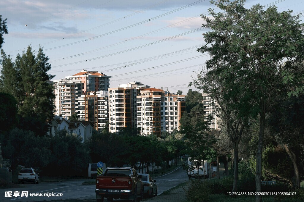 城市住宅区绿树环绕景象