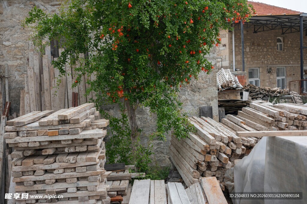 户外堆放的木材与绿植