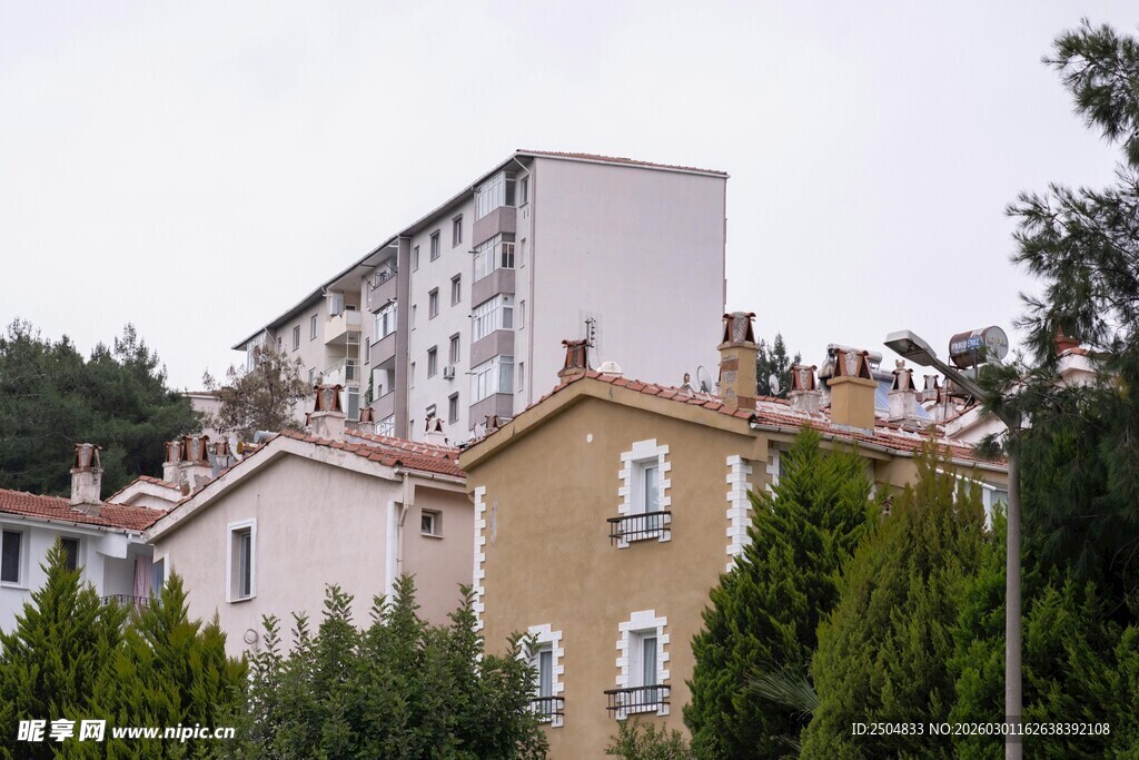 城郊住宅 绿树环绕的建筑