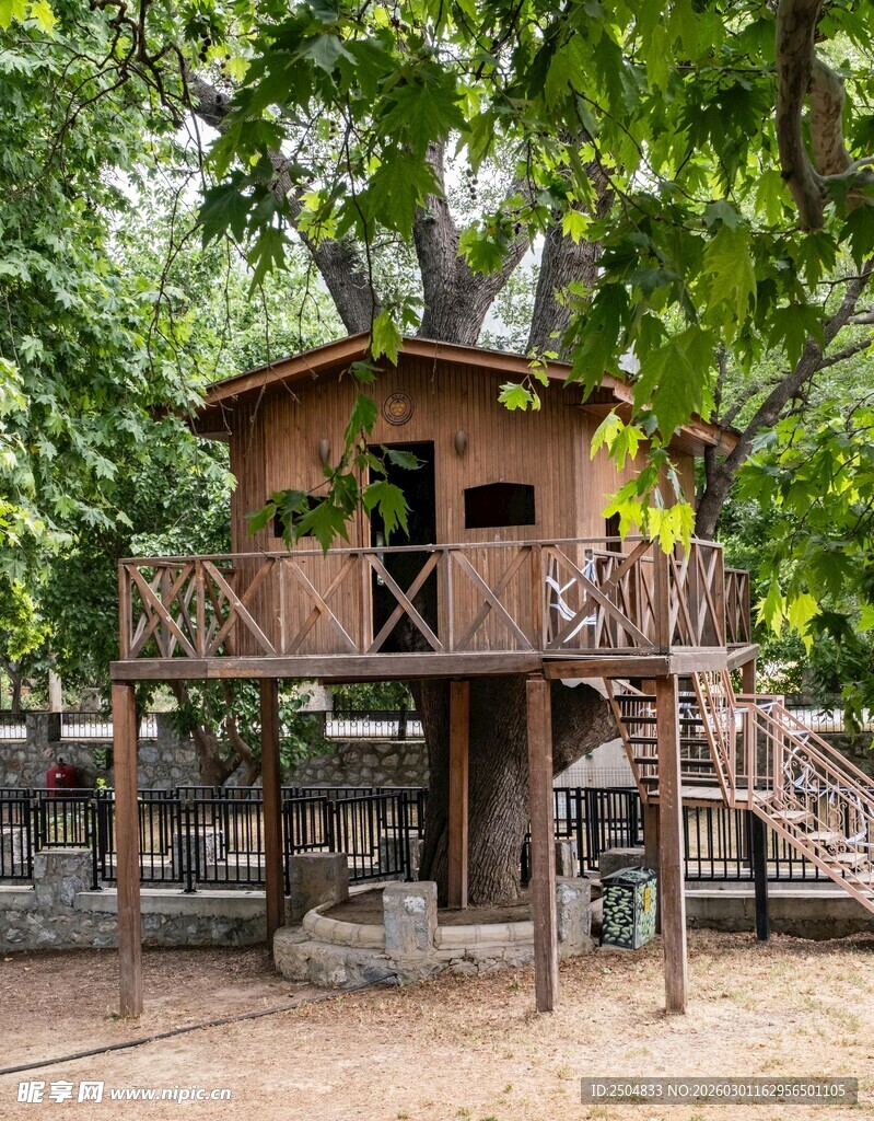 森林中的别致树屋