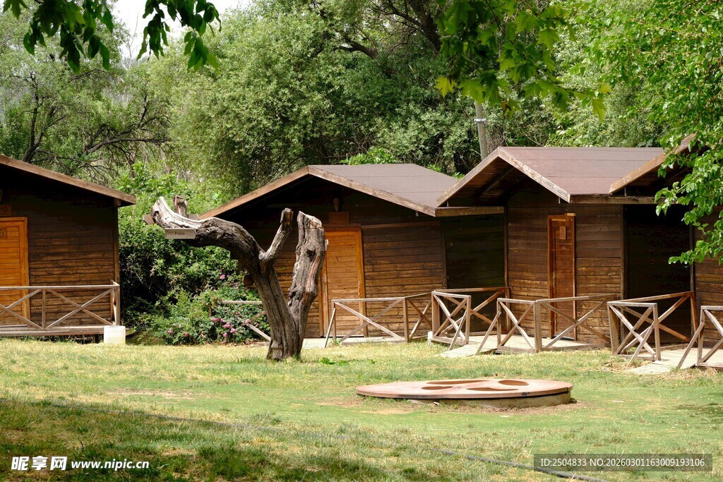 林间木屋旁的悠闲场景