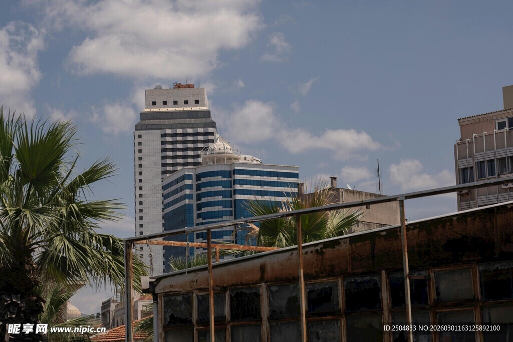 城市天际线与棕榈树景观