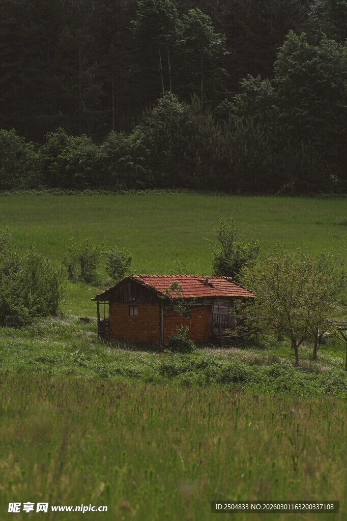 田园中的红顶小屋