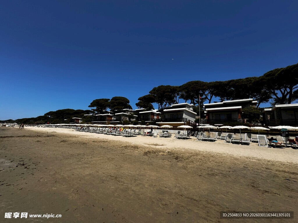 海滨沙滩与成排树木景观