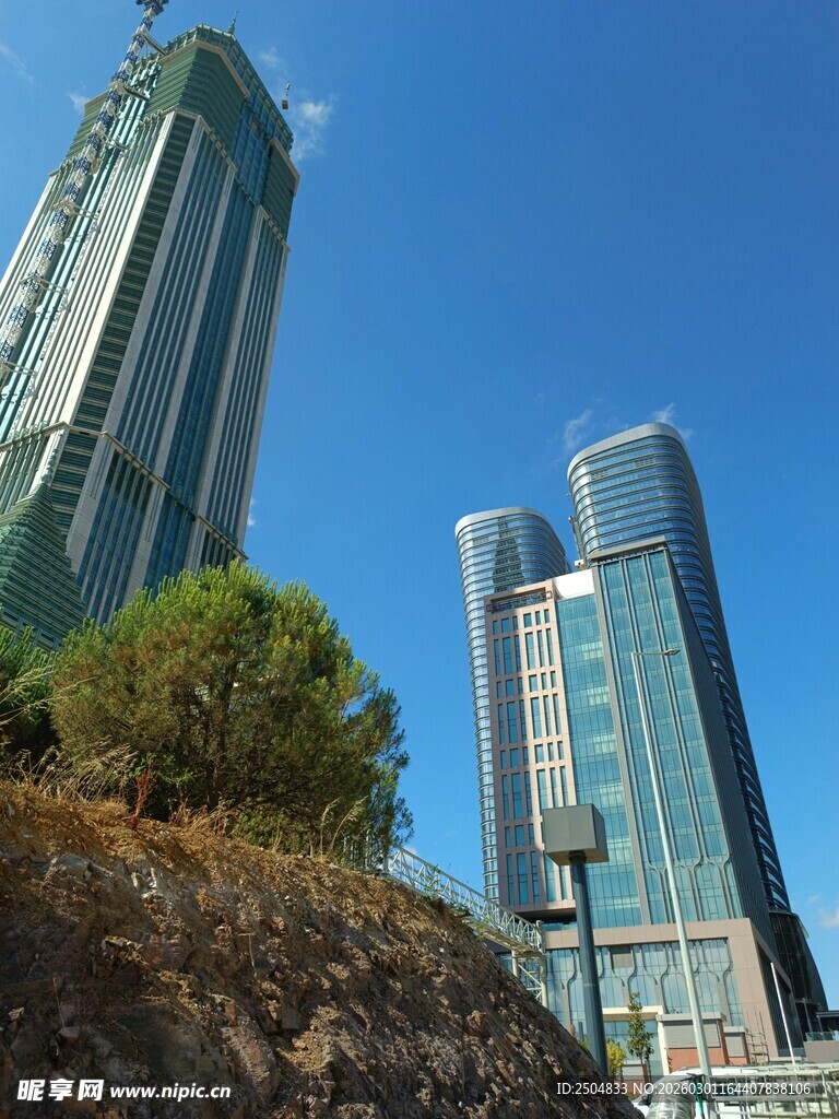 城市高楼与绿植景观