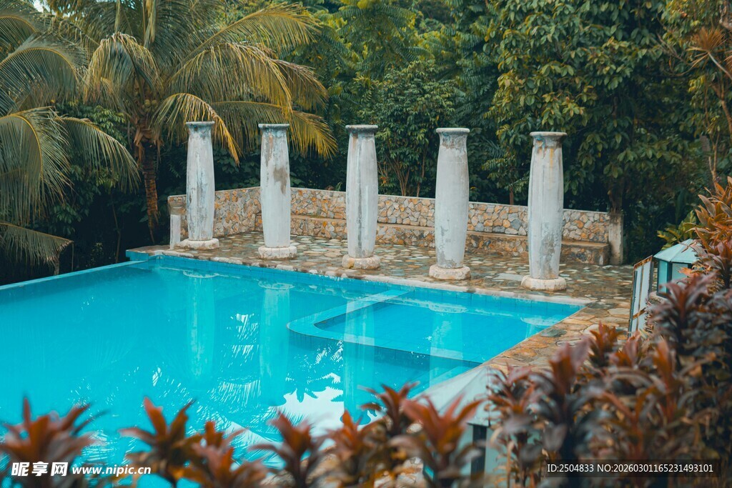 热带风情中的美丽泳池