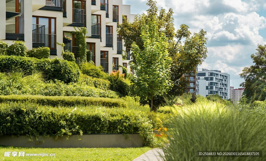 现代住宅旁的绿植景观