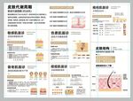 皮肤分析功效信息图表