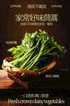 家常茼蒿蔬菜食材海报