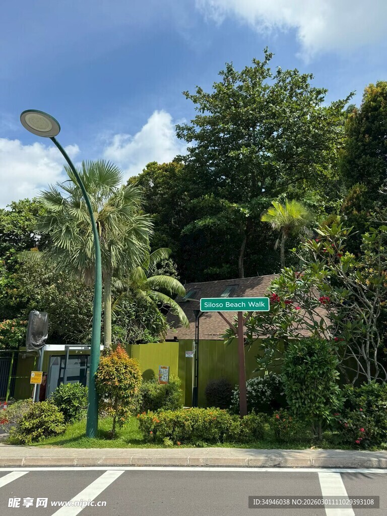 户外绿植环绕的街道景观