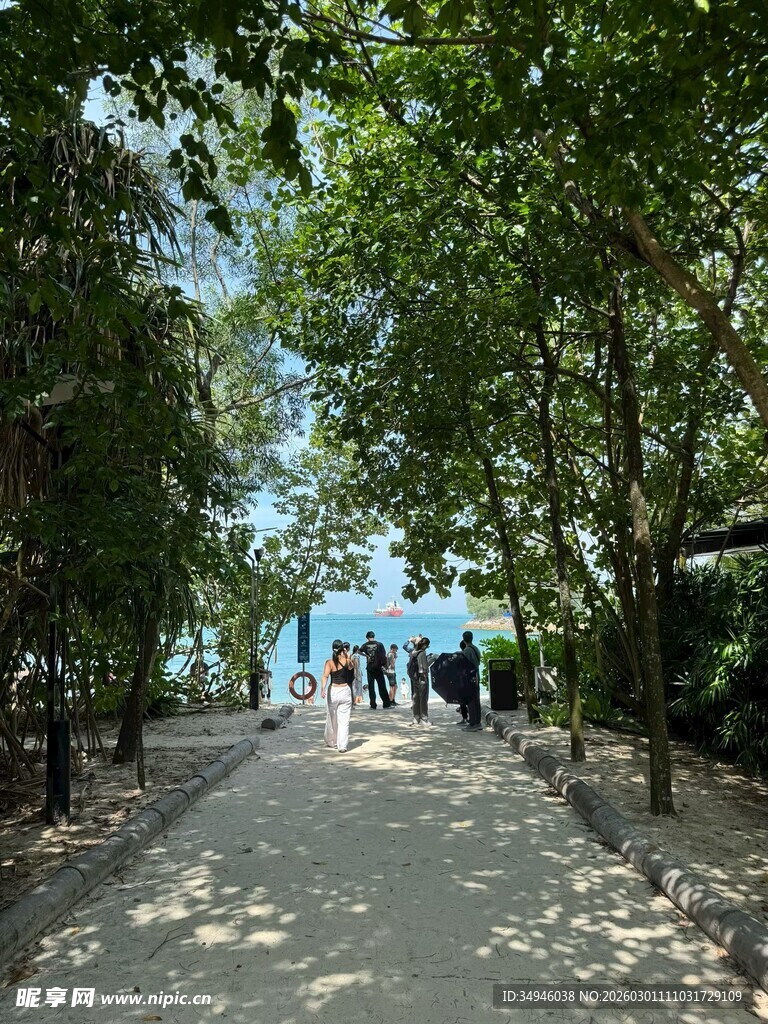 林荫步道通向美丽海景